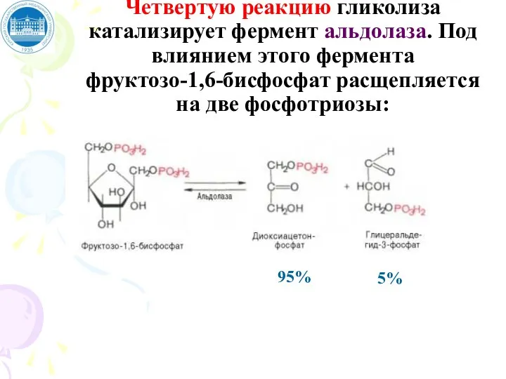 Четвертую реакцию гликолиза катализирует фермент альдолаза. Под влиянием этого фермента