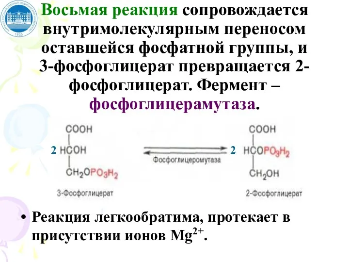 Восьмая реакция сопровождается внутримолекулярным переносом оставшейся фосфатной группы, и 3-фосфоглицерат