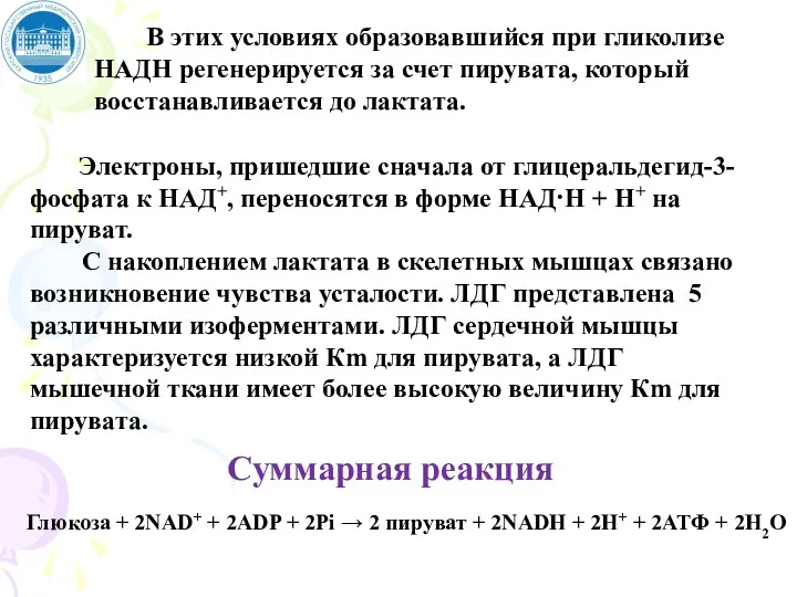 В этих условиях образовавшийся при гликолизе НАДН регенерируется за счет