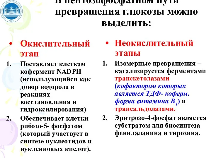 В пентозофосфатном пути превращения глюкозы можно выделить: Окислительный этап Поставляет