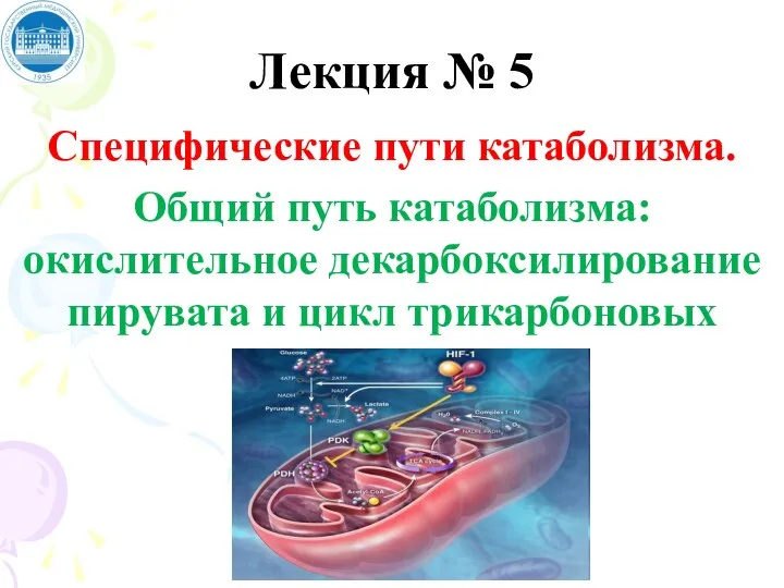 Лекция № 5 Специфические пути катаболизма. Общий путь катаболизма: окислительное