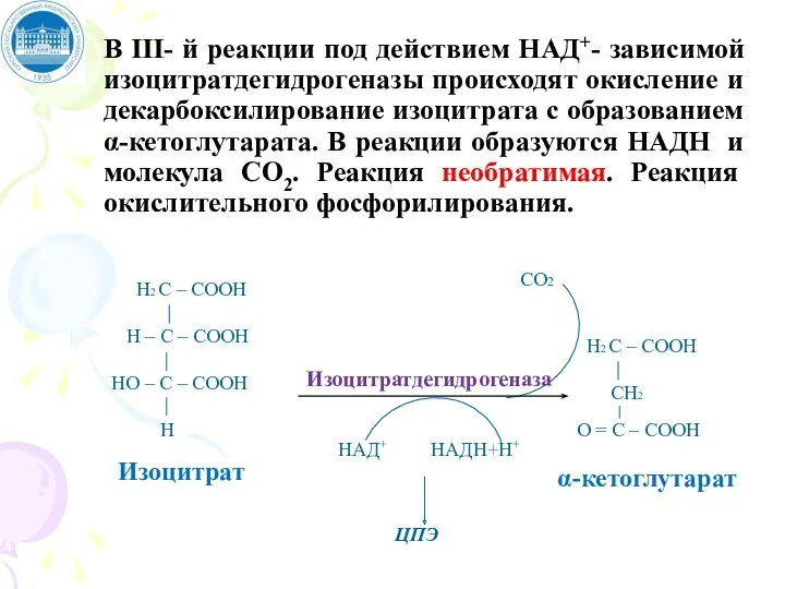 В III- й реакции под действием НАД+- зависимой изоцитратдегидрогеназы происходят