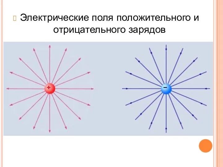 Электрические поля положительного и отрицательного зарядов