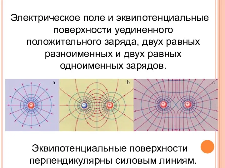 Электрическое поле и эквипотенциальные поверхности уединенного положительного заряда, двух равных