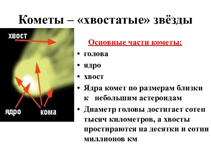 Кометы – «хвостатые» звёзды Основные части кометы: голова ядро хвост