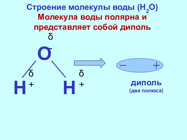 Строение молекулы воды (H2O) Молекула воды полярна и представляет собой диполь δ- δ+ δ+