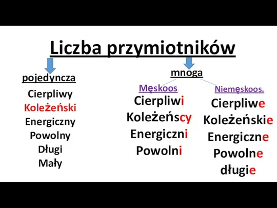 Liczba przymiotników pojedyncza mnoga Cierpliwy Koleżeński Energiczny Powolny Długi Mały