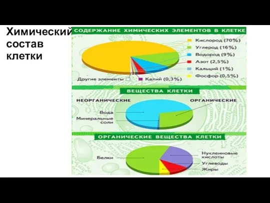 Химический состав клетки