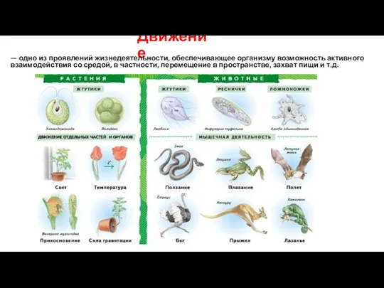 Движение — одно из проявлений жизнедеятельности, обеспечивающее организму возможность активного