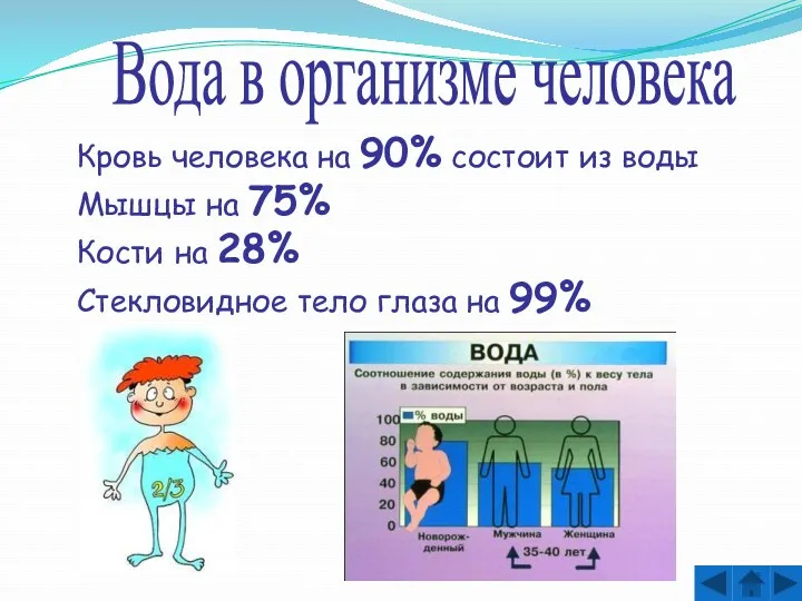 Вода в организме человека Кровь человека на 90% состоит из