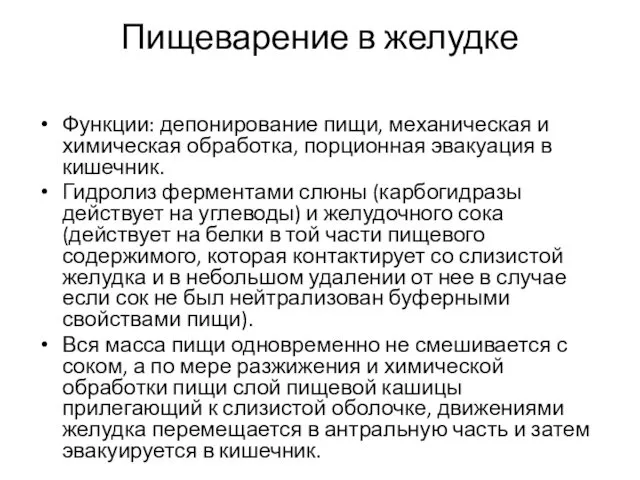 Пищеварение в желудке Функции: депонирование пищи, механическая и химическая обработка,