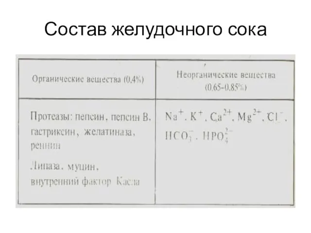 Состав желудочного сока