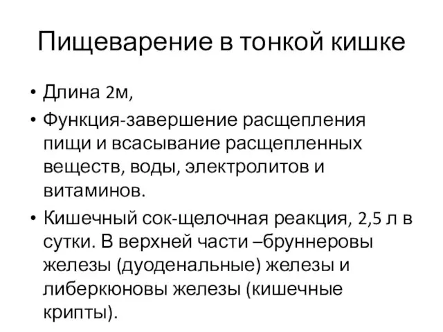 Пищеварение в тонкой кишке Длина 2м, Функция-завершение расщепления пищи и