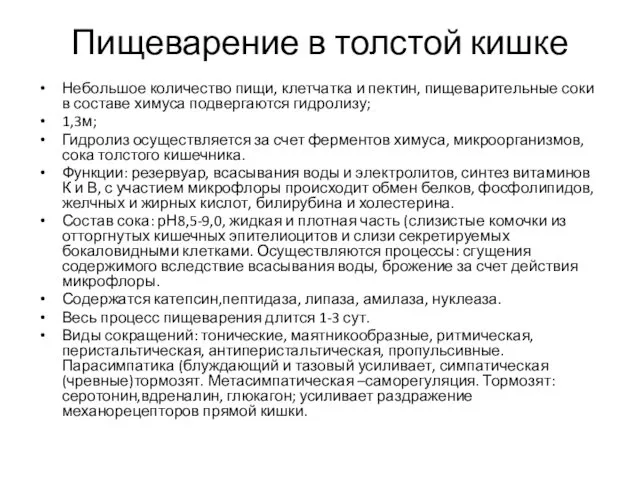 Пищеварение в толстой кишке Небольшое количество пищи, клетчатка и пектин,