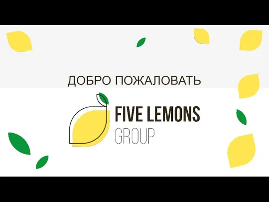 Компания Five Lemons Group