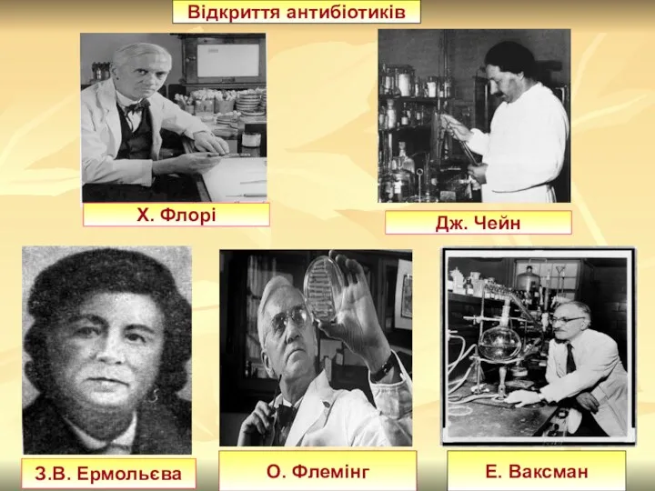 Відкриття антибіотиків Дж. Чейн О. Флемінг Е. Ваксман Х. Флорі