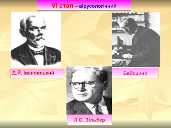 VІ етап – вірусологічний Бейєринк Л.О. Зільбер