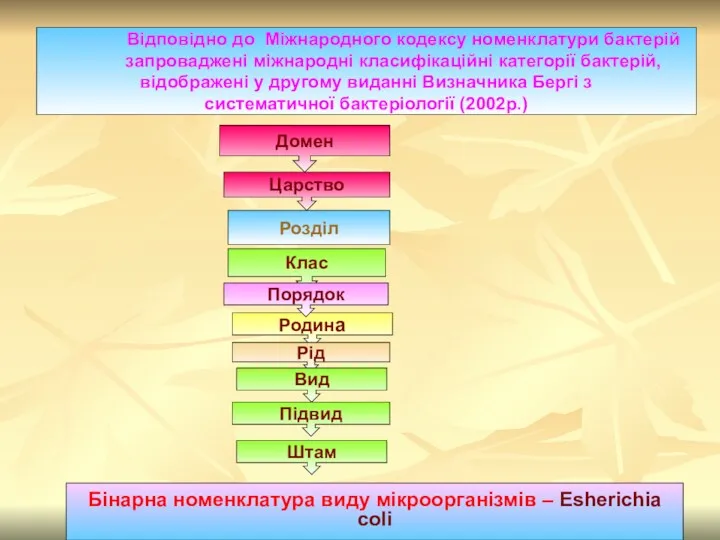 Домен Родина Клас Рід Вид Порядок Відповідно до Міжнародного кодексу