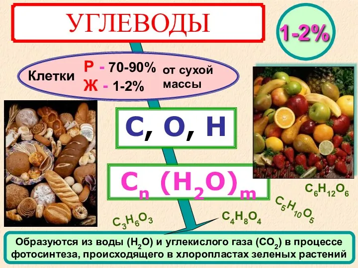 УГЛЕВОДЫ Клетки С, О, Н Сn (Н2О)m Р - 70-90%