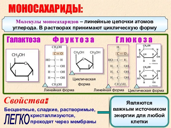 Линейная форма Ф р у к т о з а