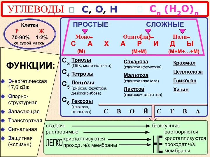 УГЛЕВОДЫ ? С, О, Н СЛОЖНЫЕ Моно– Олиго(ди)– Поли– С