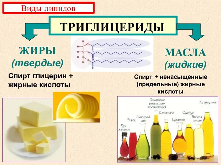 ЖИРЫ (твердые) МАСЛА (жидкие) ТРИГЛИЦЕРИДЫ Спирт глицерин + жирные кислоты