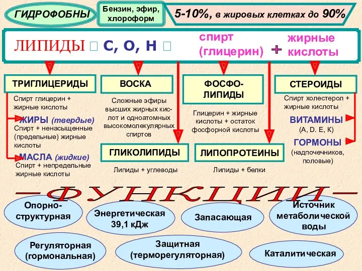 ЛИПИДЫ ? С, О, Н ? спирт (глицерин) жирные кислоты