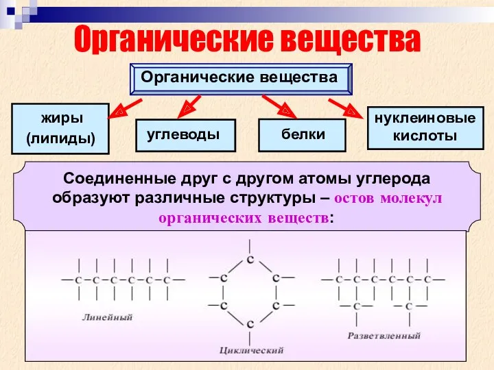 Органические вещества Органические вещества жиры белки углеводы (липиды) нуклеиновые кислоты