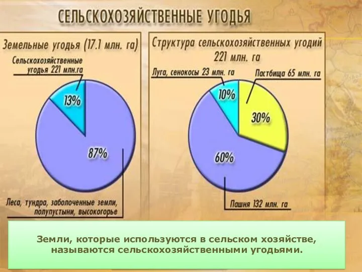 Земли, которые используются в сельском хозяйстве, называются сельскохозяйственными угодьями.