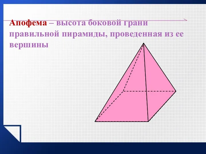 Апофема – высота боковой грани правильной пирамиды, проведенная из ее