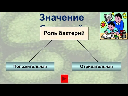 Значение бактерий Роль бактерий Положительная Отрицательная