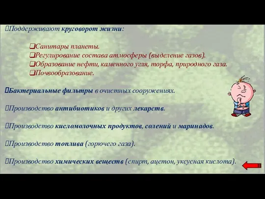 Поддерживают круговорот жизни: Санитары планеты. Регулирование состава атмосферы (выделение газов).