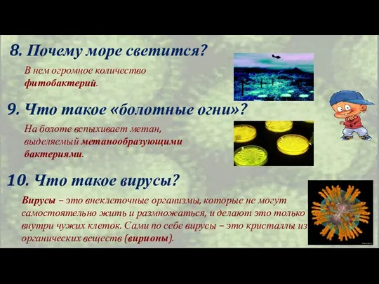 8. Почему море светится? В нем огромное количество фитобактерий. 9.