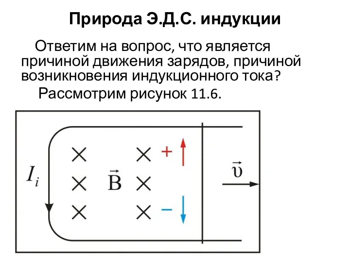 Природа Э.Д.С. индукции Ответим на вопрос, что является причиной движения