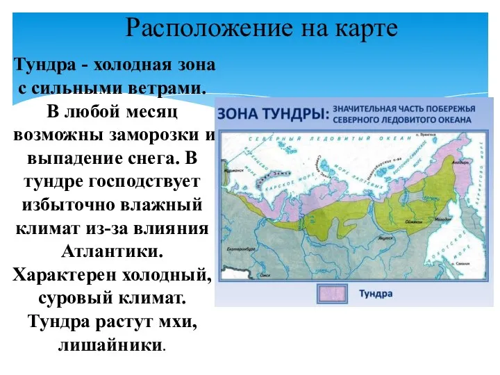 Расположение на карте Тундра - холодная зона с сильными ветрами.