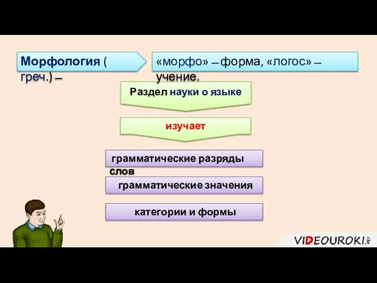 Морфология ( греч.) ̶̶̶̶ Раздел науки о языке грамматические значения