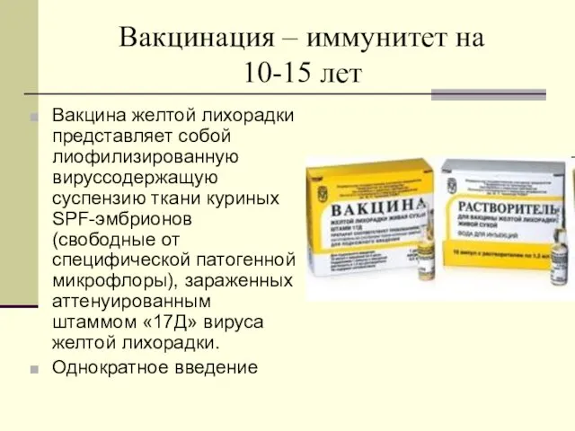 Вакцинация – иммунитет на 10-15 лет Вакцина желтой лихорадки представляет