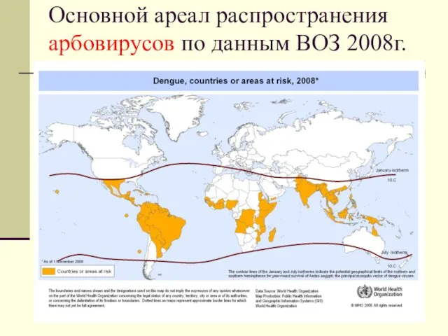 Основной ареал распространения арбовирусов по данным ВОЗ 2008г.