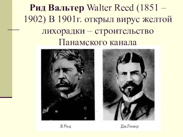 Рид Вальтер Walter Reed (1851 – 1902) В 1901г. открыл
