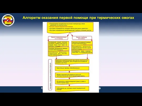 Алгоритм оказания первой помощи при термических ожогах