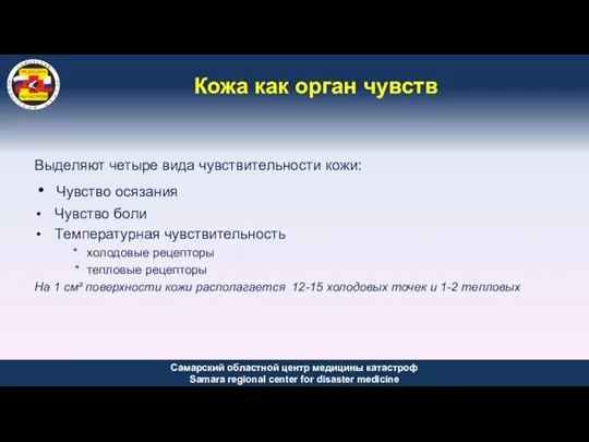 Кожа как орган чувств Выделяют четыре вида чувствительности кожи: Чувство