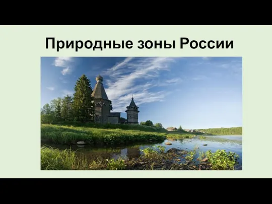Природные зоны России. Растительность