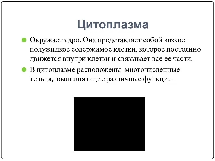 Цитоплазма Окружает ядро. Она представляет собой вязкое полужидкое содержимое клетки, которое постоянно движется