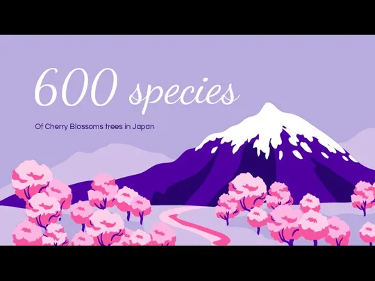 600 species Of Cherry Blossoms trees in Japan