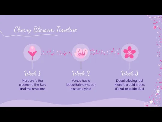Cherry Blossom Timeline Week 1 Mercury is the closest to