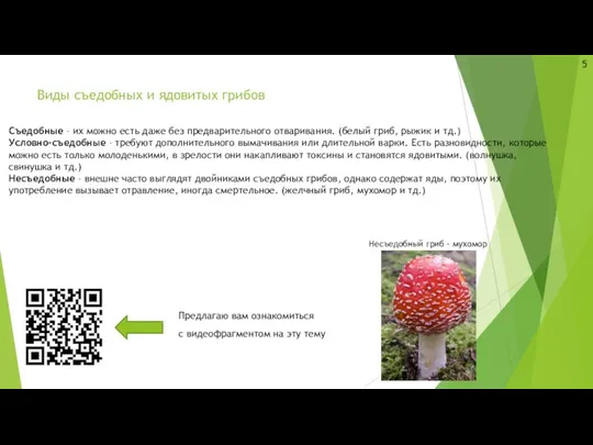 Виды съедобных и ядовитых грибов Предлагаю вам ознакомиться с видеофрагментом