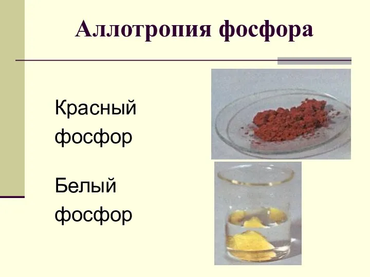 Аллотропия фосфора Красный фосфор Белый фосфор
