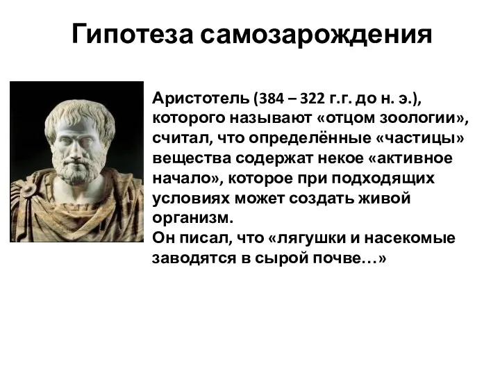 Гипотеза самозарождения Аристотель (384 – 322 г.г. до н. э.), которого называют «отцом