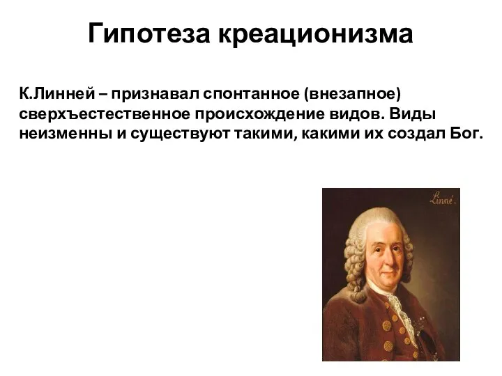 К.Линней – признавал спонтанное (внезапное) сверхъестественное происхождение видов. Виды неизменны и существуют такими,