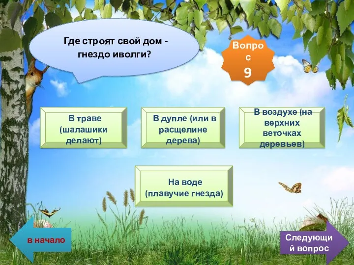 Где строят свой дом - гнездо иволги? В траве (шалашики делают) В дупле